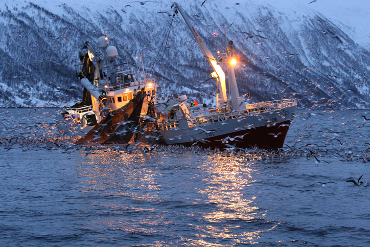 NORGES KYSTFISKARLAG AVD. BØ