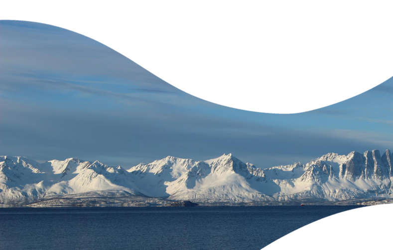 Skjermbilde fra planprogrammet til kystsoneplanen.