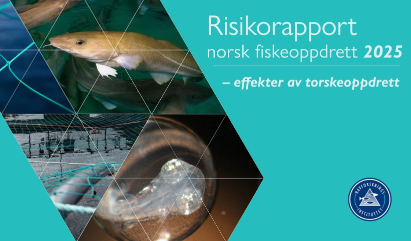 Foto: Havforskningsinstituttet